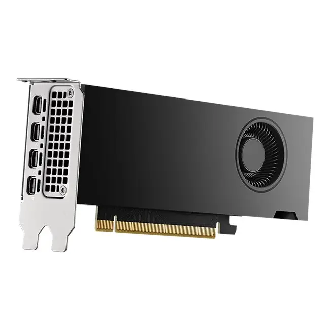 Pny Quadro RTX 2000 ADA 16GB GD6 4mDp Çeviricisiz